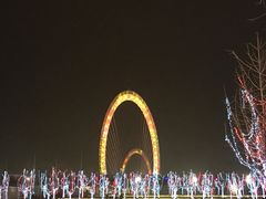 -南京眼步行桥
