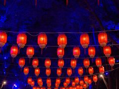 -北京世界公园