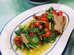 香菜卤牛肉-刘氏三和面馆