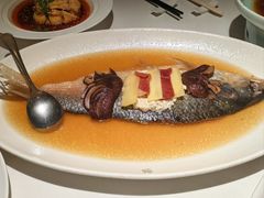 招牌中式清蒸鲥鱼（半条）-苏浙汇(南京西路店)