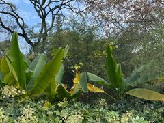 -菊花台公园