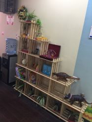 -小咖儿童理发(晶采大厦店)