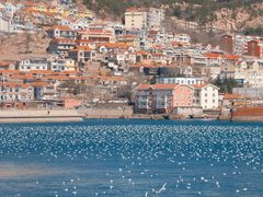 -青岛沙子口国家中心渔港