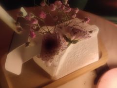 -甜喵酒吧(茂业店)