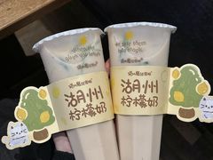 -猫的魔法密林(衣裳街店)