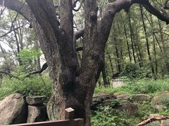 -北京密云天门山风景区