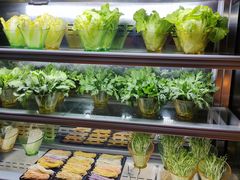 -加餐海鲜自助(宝龙一城店)