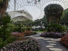 -海心沙亚运公园