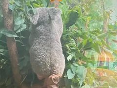 -广州长隆野生动物世界