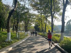 -东莞植物园