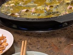 -鲜椒鱼·雅安地标性美食