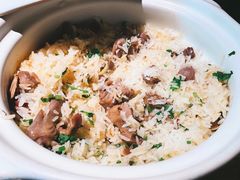 大鸽饭（大煲）-大鸽饭(岗顶店)