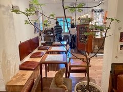 -懒鱼时光馆(沙坪坝店)