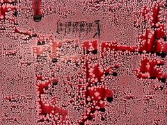 -上海外滩美术馆