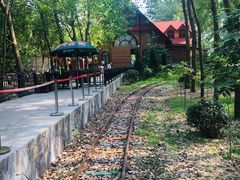 -合肥滨湖国家森林公园