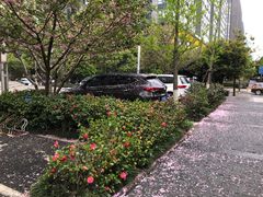 -龙梅肥肠鱼(明瓦廊店)