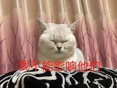 -荔康动物医院(康王北路店)