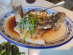 清蒸鲈鱼-至潮餐厅精致粤菜·活鲈鱼·走地鸡(珠江新城店)