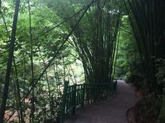-四洞沟景区