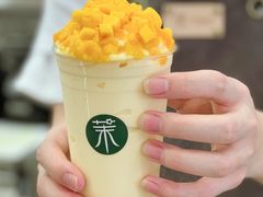 -茉酸奶(春熙路店)