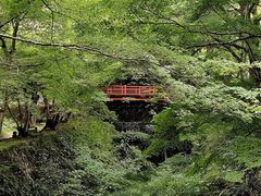 -三千院
