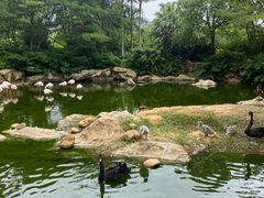-长隆横琴湾酒店(珠海旗舰店)