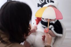 -梦之初儿童摄影(江宁店)