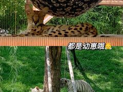 -北京野生动物园