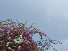 -三亚南山文化旅游区