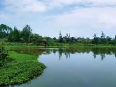 -桤木河湿地公园