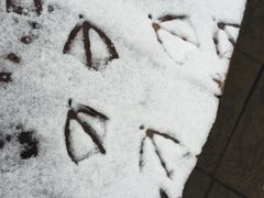 -南京圣和府邸豪华精选酒店