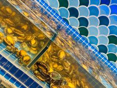 水产区-乔哥铭洋海鲜自助(皇城恒隆广场店)