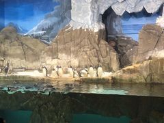 -成都浩海立方海洋公园