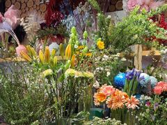 -谷莠子花艺气球派对·绿植造景·花艺沙龙(东海缤纷天地店)