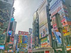 -秋叶原电器街