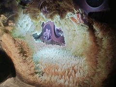 -湖南省地质博物馆