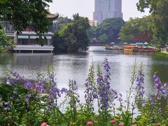 -荔湾湖公园