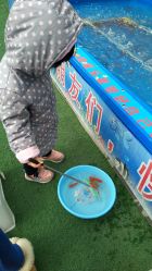 -萌宠亲子动物乐园(槐房万达店)