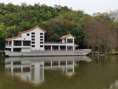 -深圳仙湖植物园