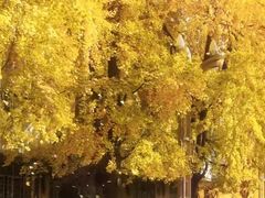 -四川大学(华西校区)