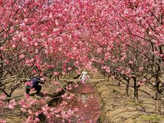 -西山风景区