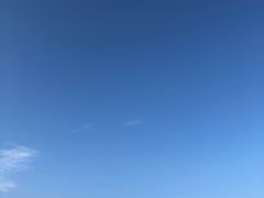 -碧海金沙