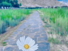 -昆山招商花园城