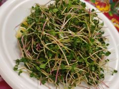 -闯关东东北农家菜(崂山石老人店)