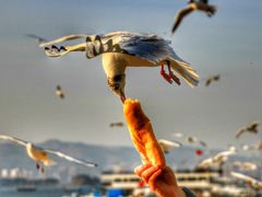 -海埂大坝
