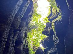 -梭布垭石林景区