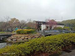 -蠡湖大桥公园
