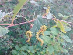 -白草畔自然风景区