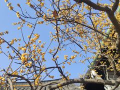 -狼山风景名胜区