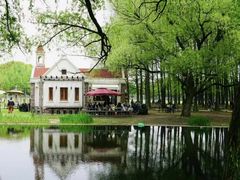 -上海共青森林公园